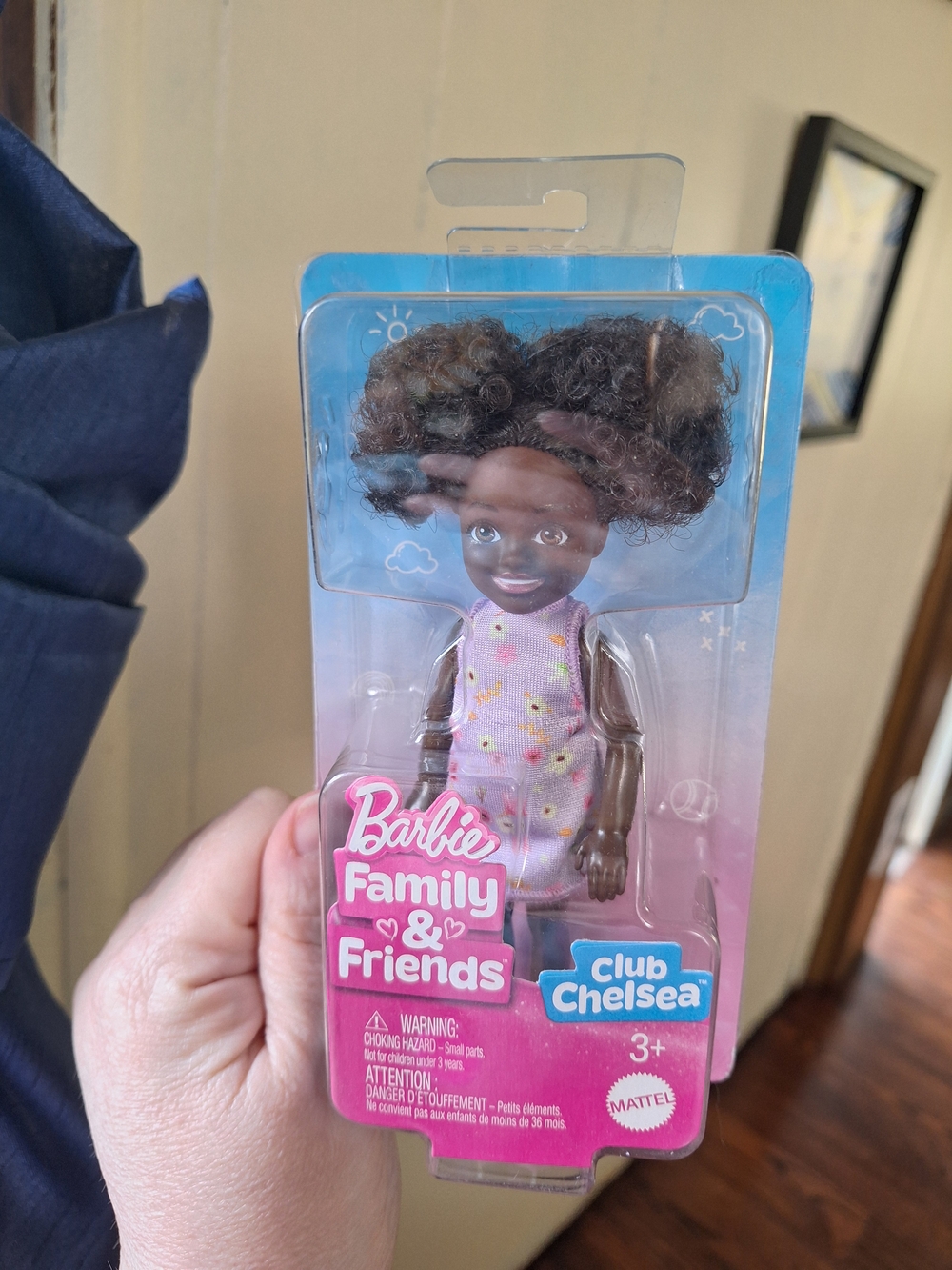 Barbie Family & Friends Club Chelsea Doll